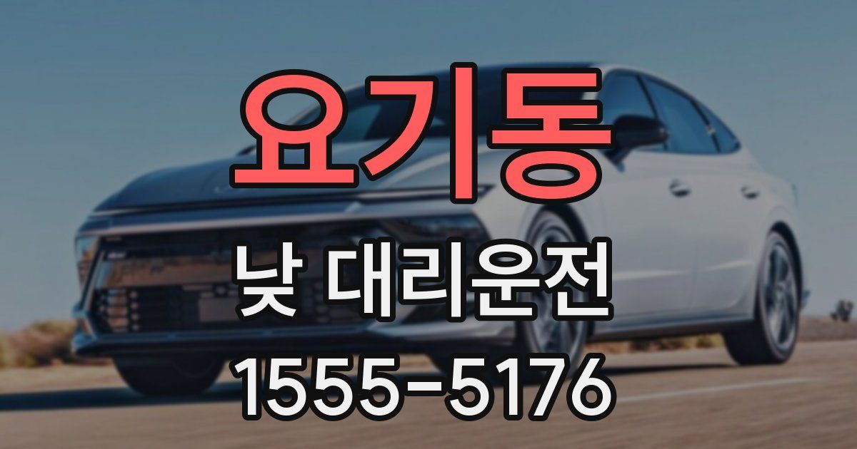 요기동 낮 대리운전