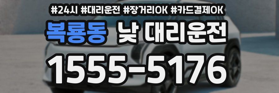 복룡동 낮 대리운전