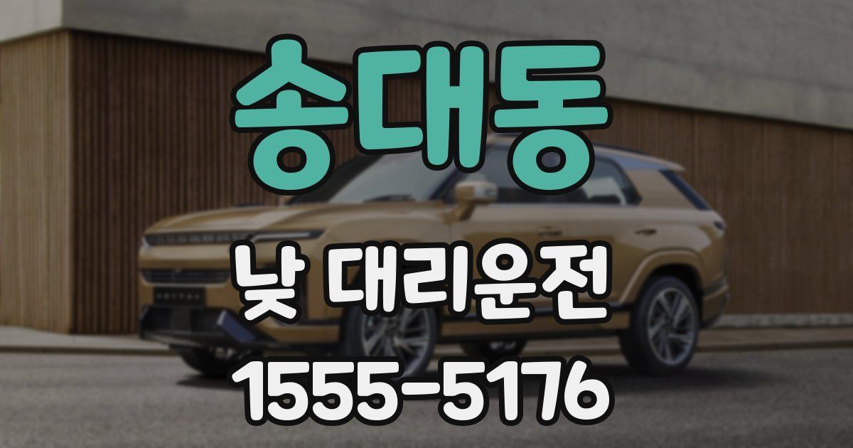송대동 낮 대리운전