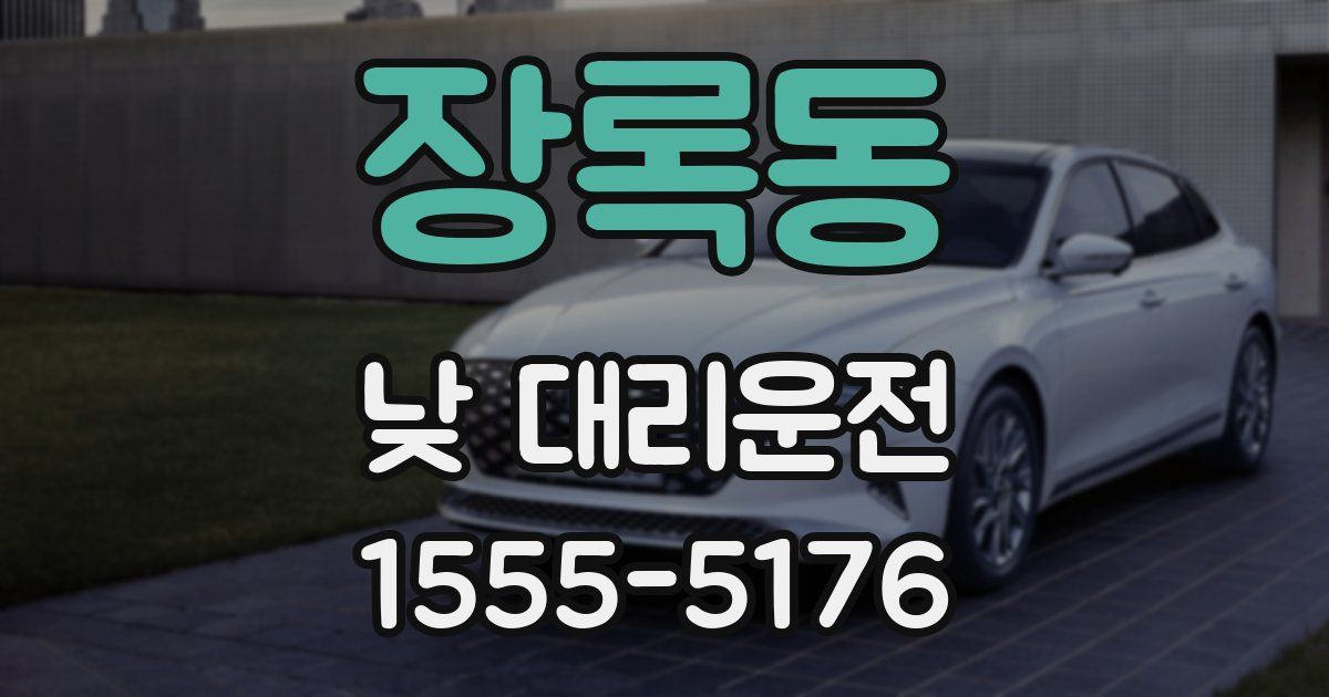 장록동 낮 대리운전