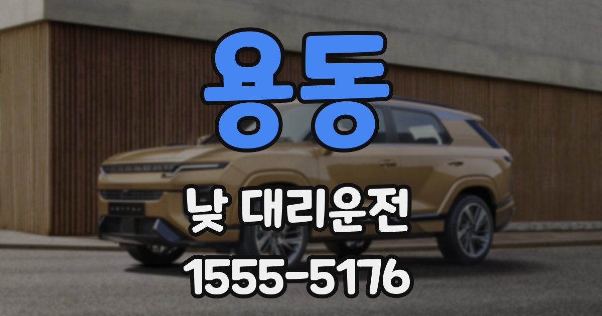 용동 낮 대리운전