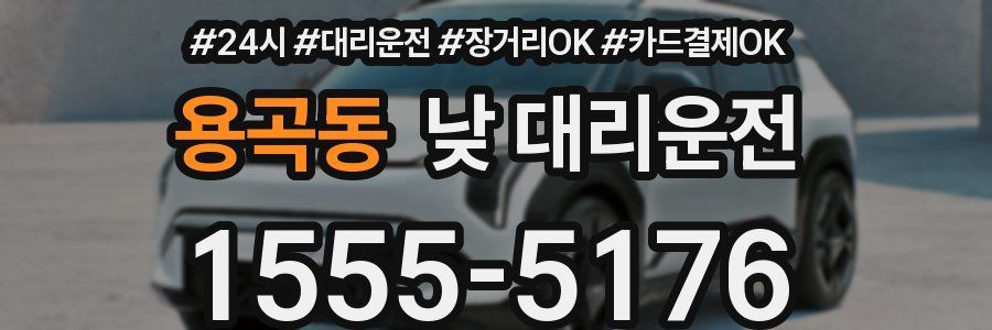 용곡동 낮 대리운전