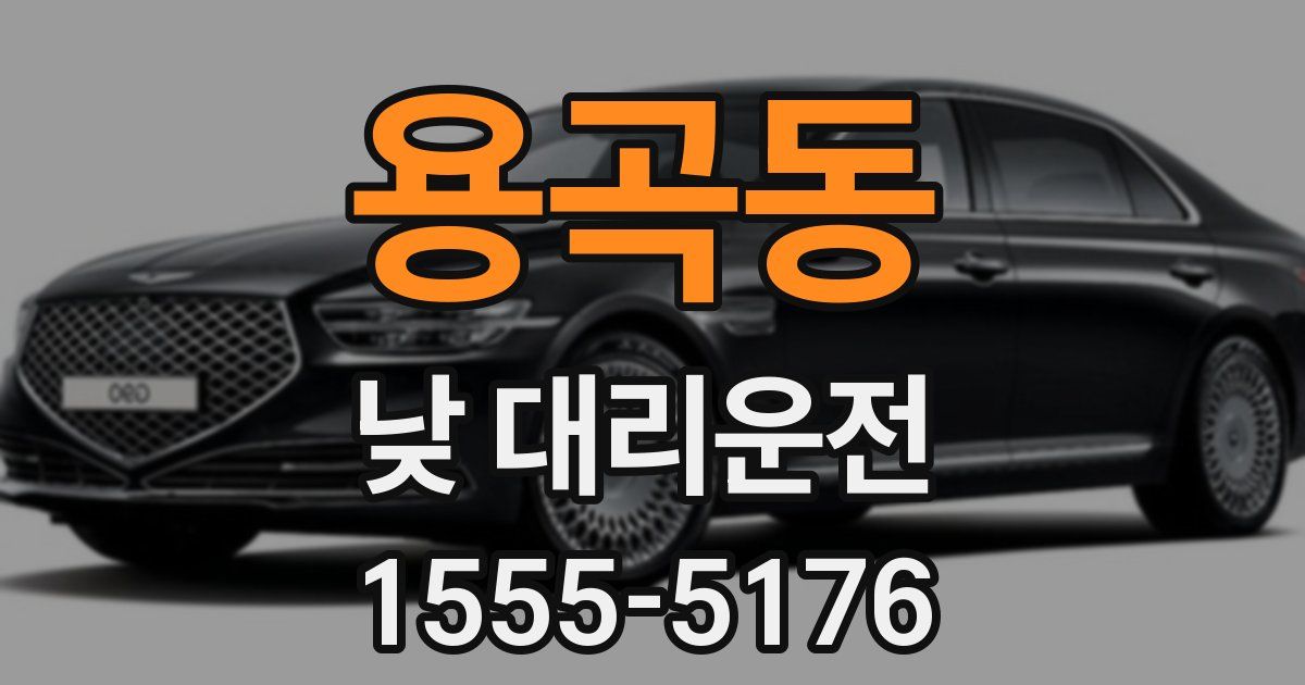 용곡동 낮 대리운전