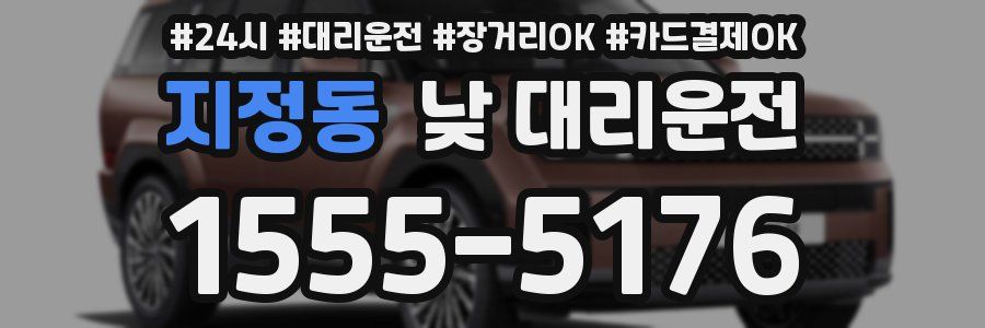 지정동 낮 대리운전