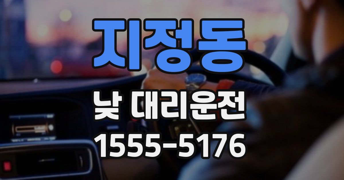 지정동 낮 대리운전