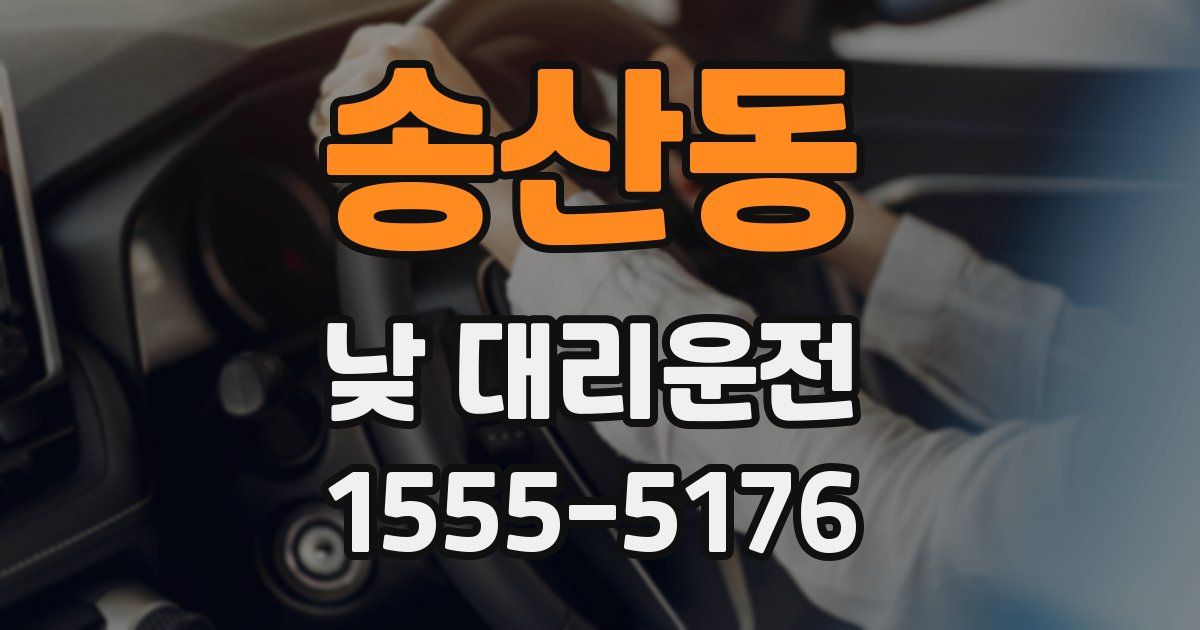 송산동 낮 대리운전