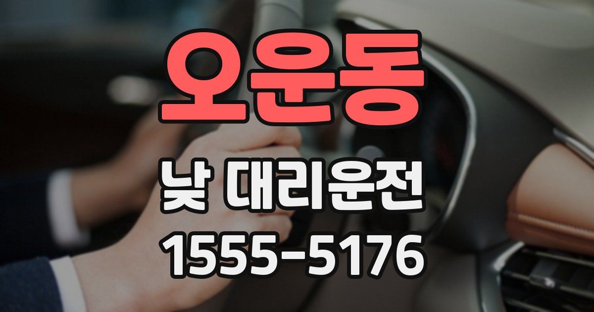 오운동 낮 대리운전