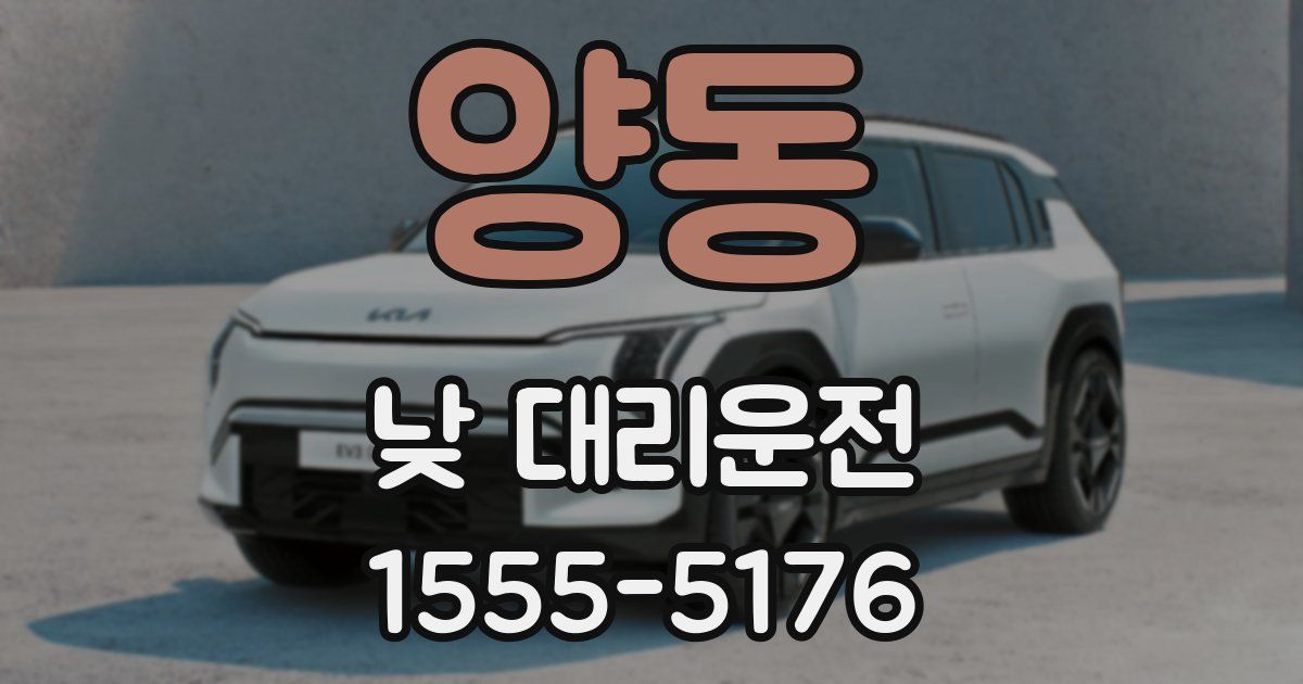 양동 낮 대리운전