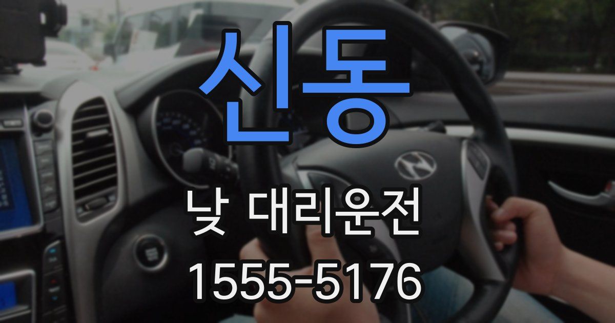 신동 낮 대리운전