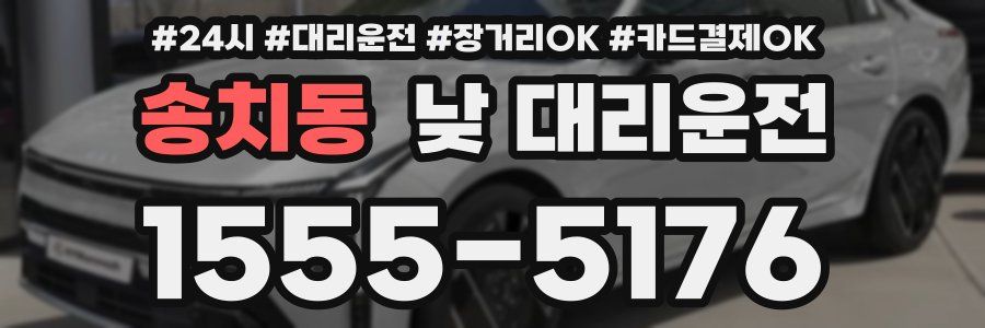 송치동 낮 대리운전