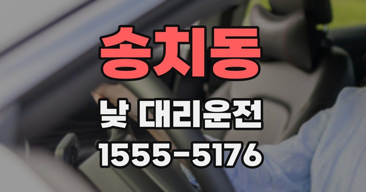 송치동 낮 대리운전