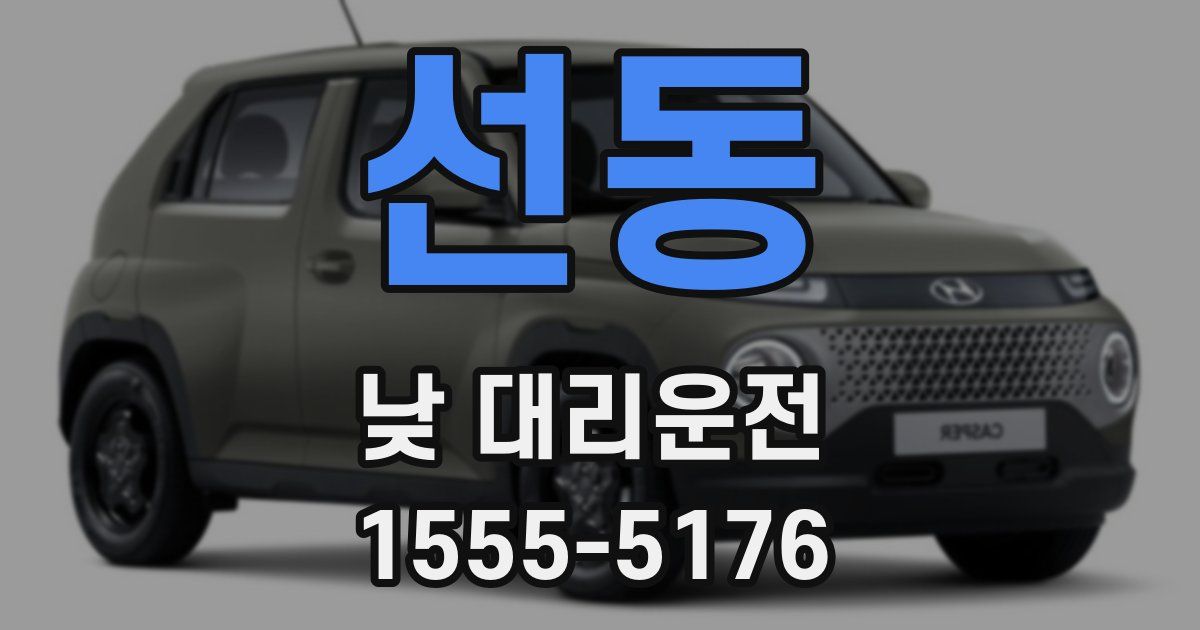 선동 낮 대리운전