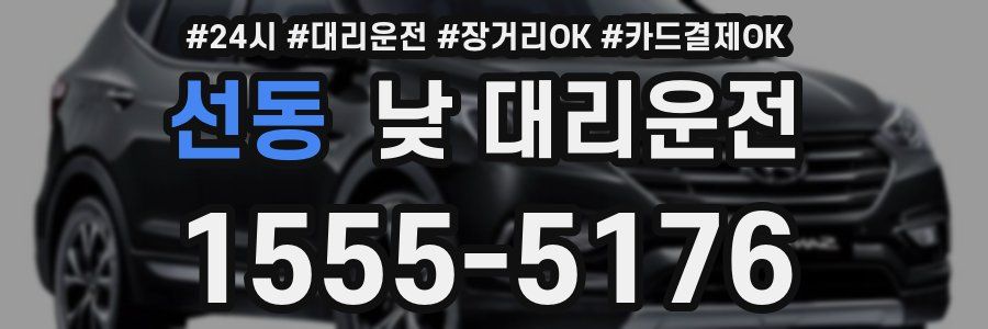 선동 낮 대리운전