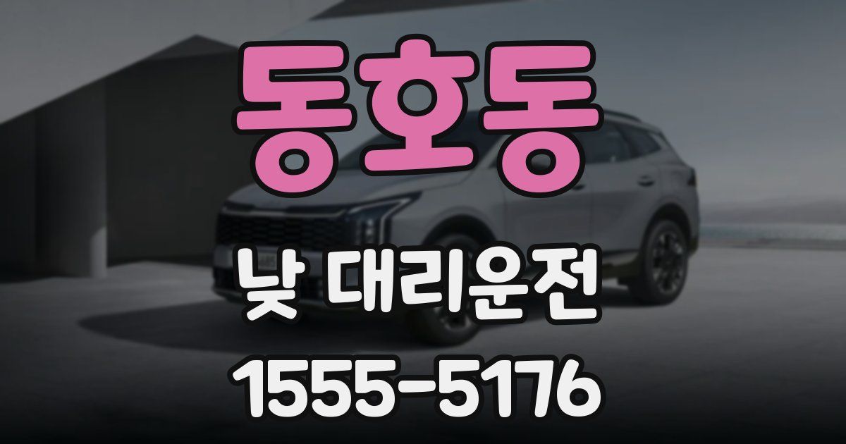 동호동 낮 대리운전