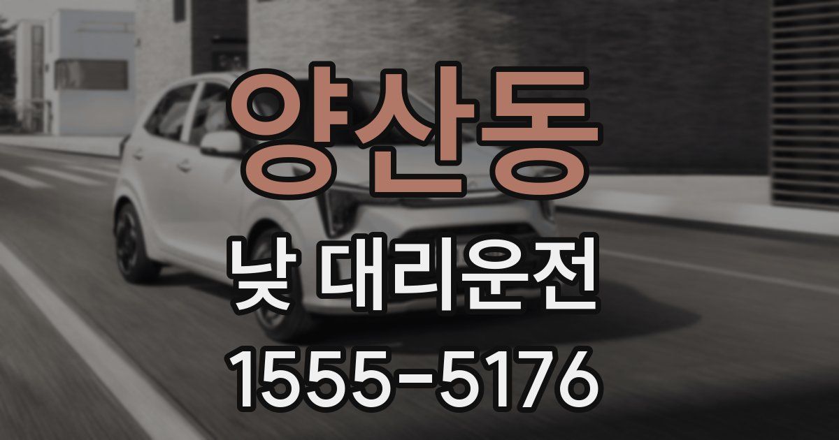 양산동 낮 대리운전