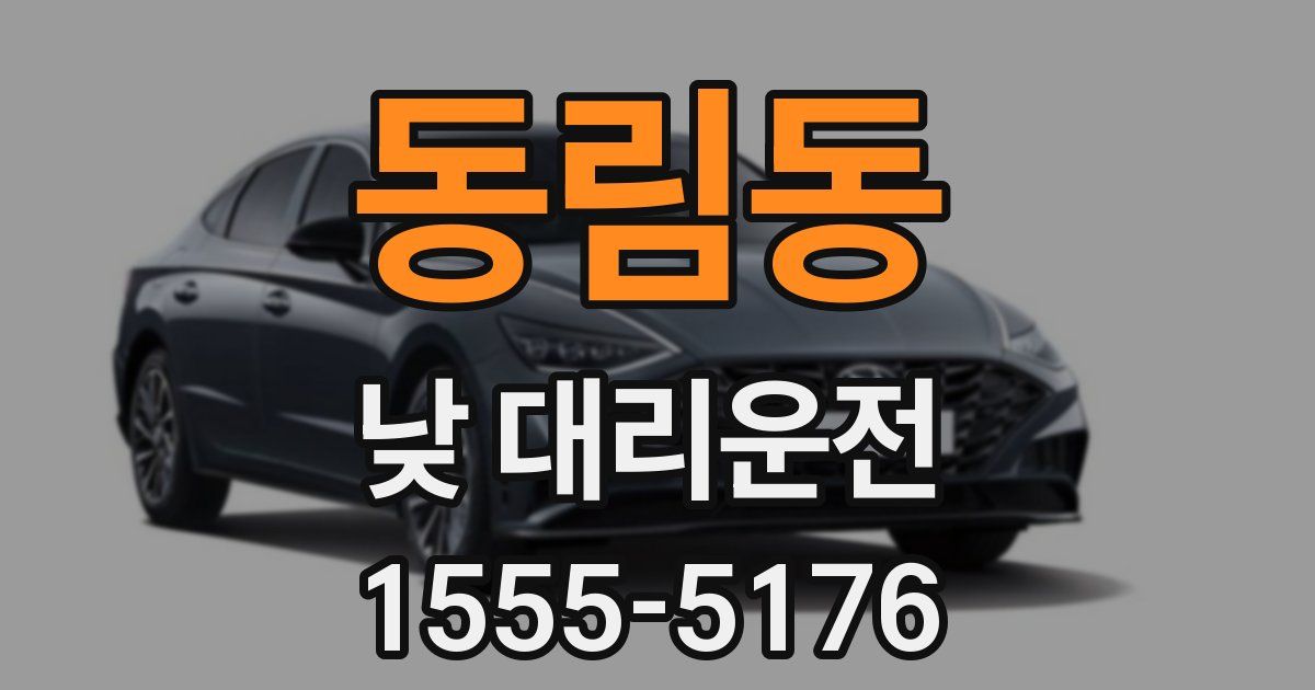 동림동 낮 대리운전