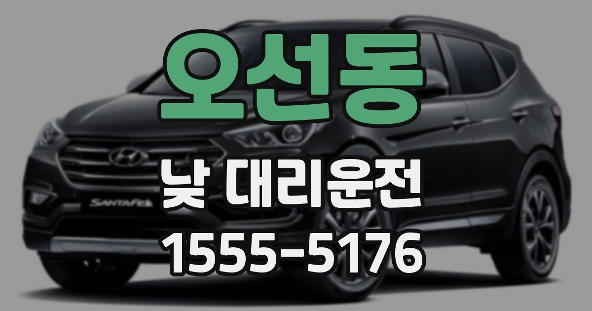 오선동 낮 대리운전