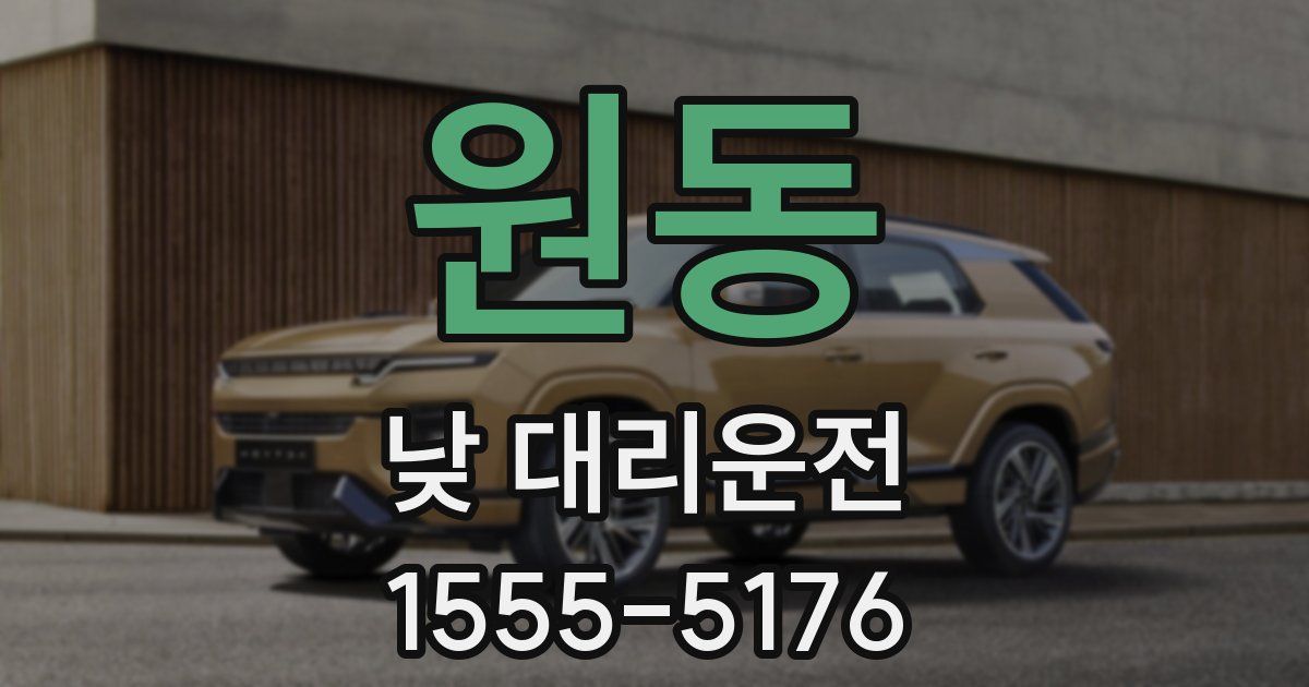 원동 낮 대리운전