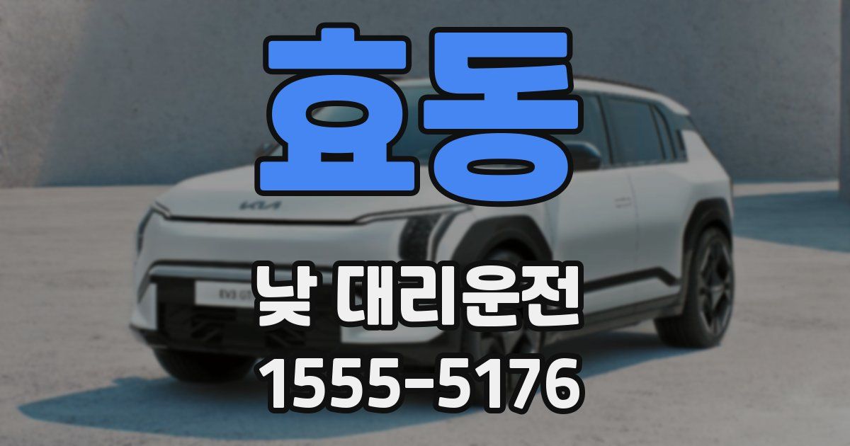 효동 낮 대리운전