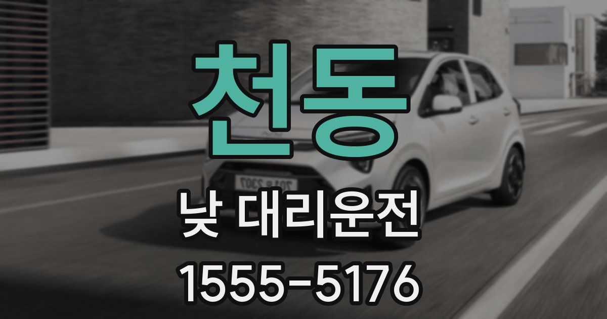 천동 낮 대리운전