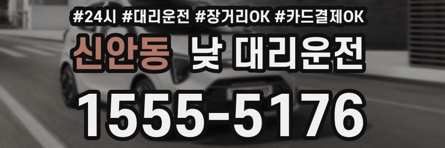 신안동 낮 대리운전