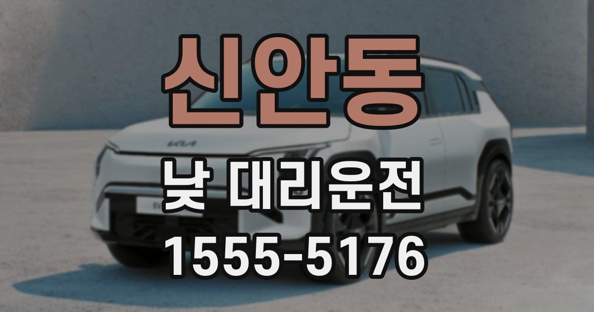 신안동 낮 대리운전