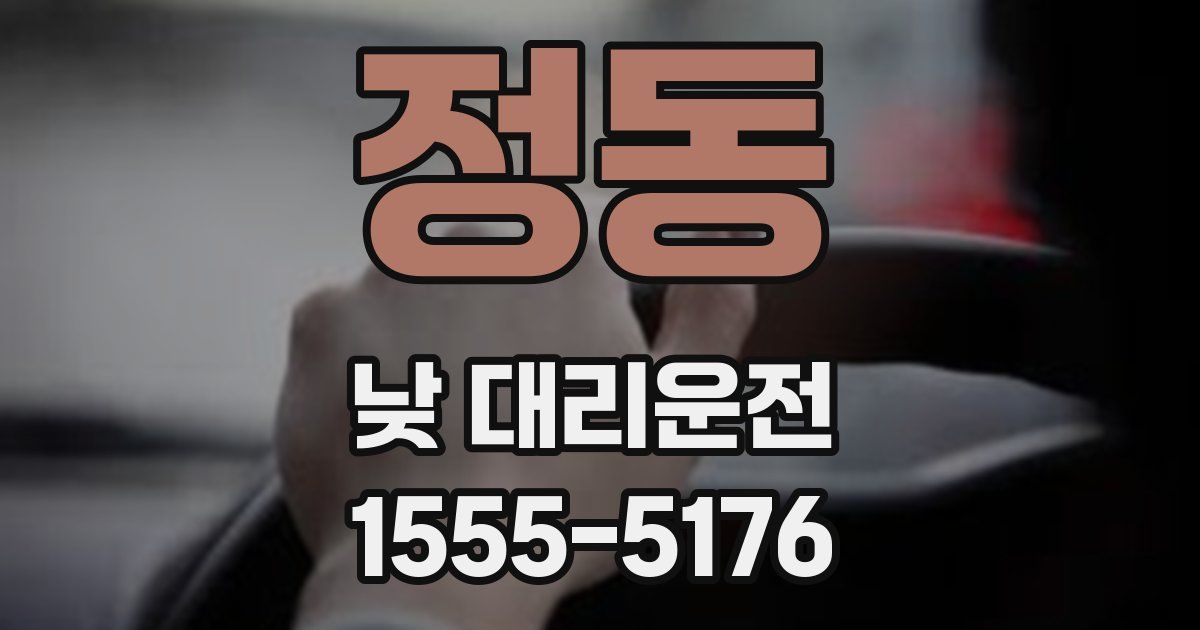 정동 낮 대리운전