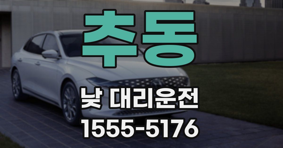추동 낮 대리운전