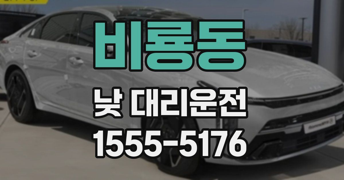비룡동 낮 대리운전