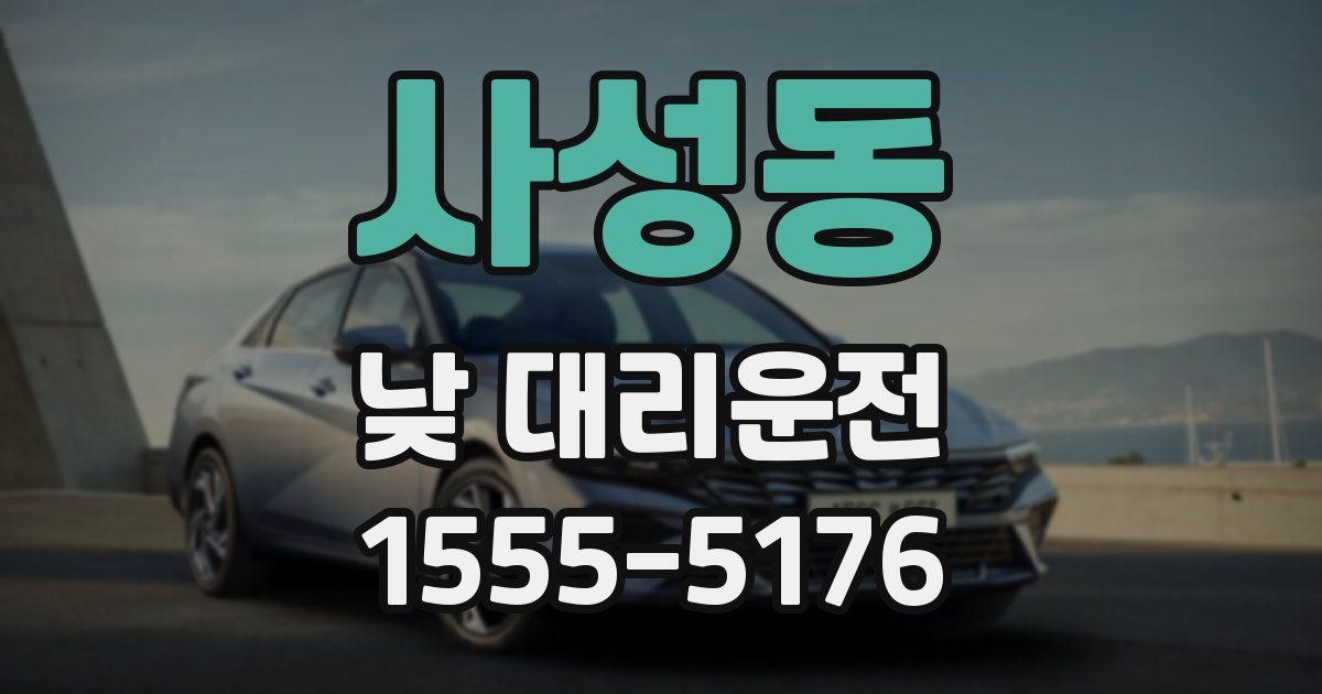 사성동 낮 대리운전