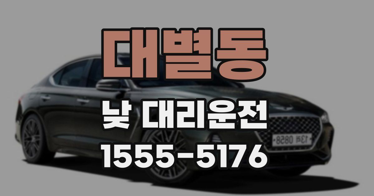 대별동 낮 대리운전