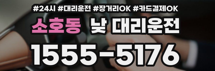 소호동 낮 대리운전