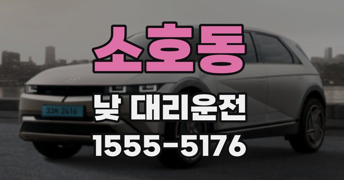 소호동 낮 대리운전