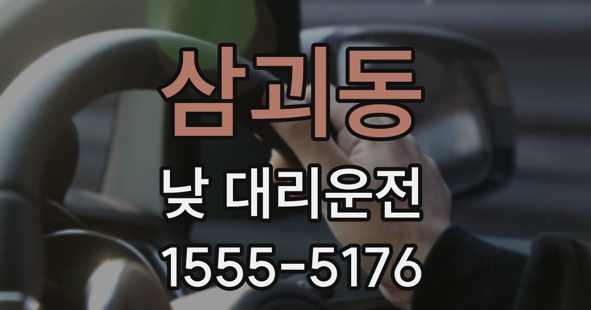 삼괴동 낮 대리운전