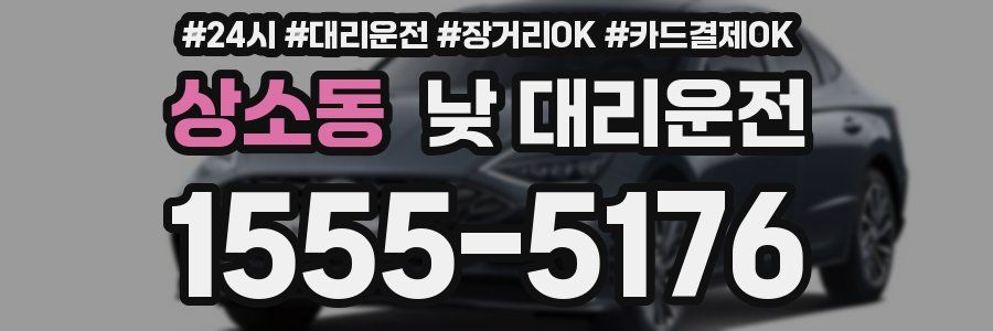 상소동 낮 대리운전