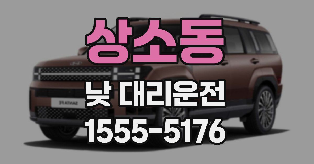 상소동 낮 대리운전