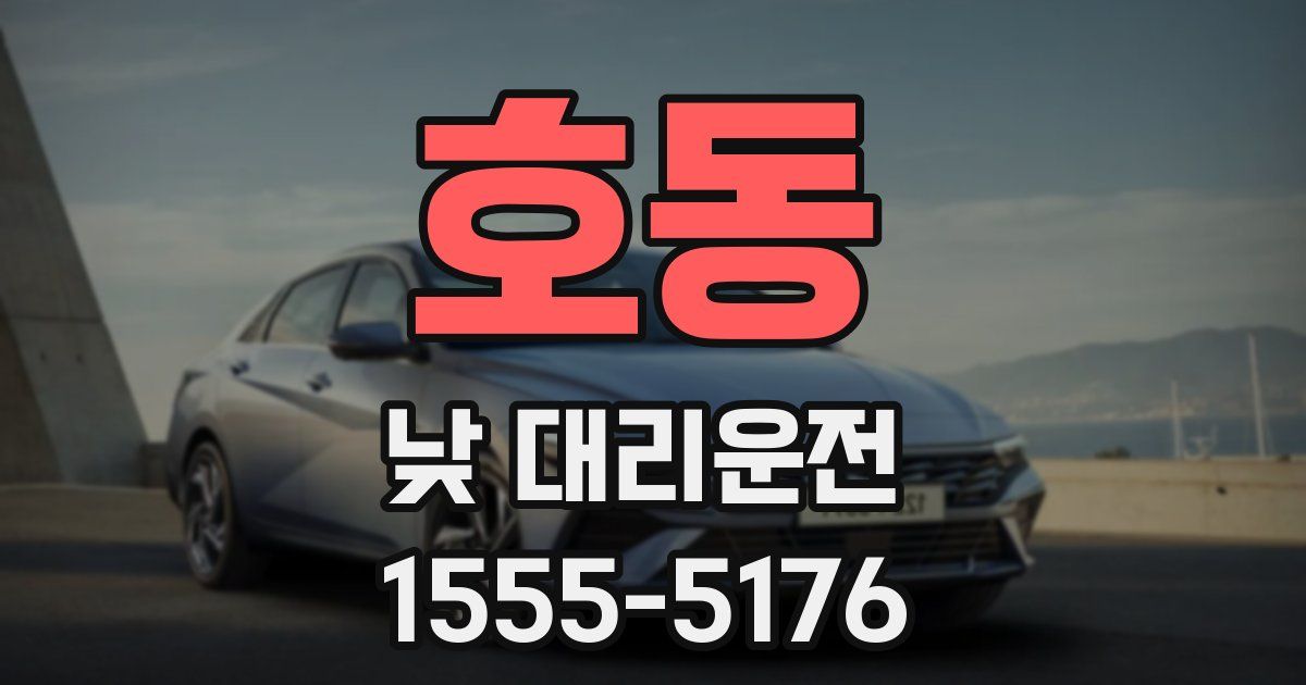 호동 낮 대리운전