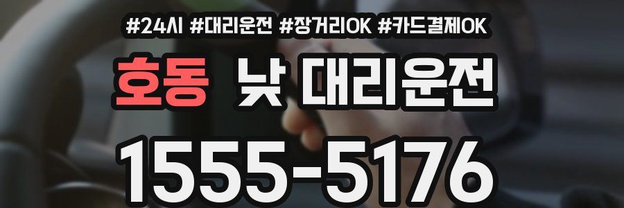 호동 낮 대리운전