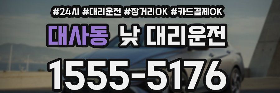 대사동 낮 대리운전