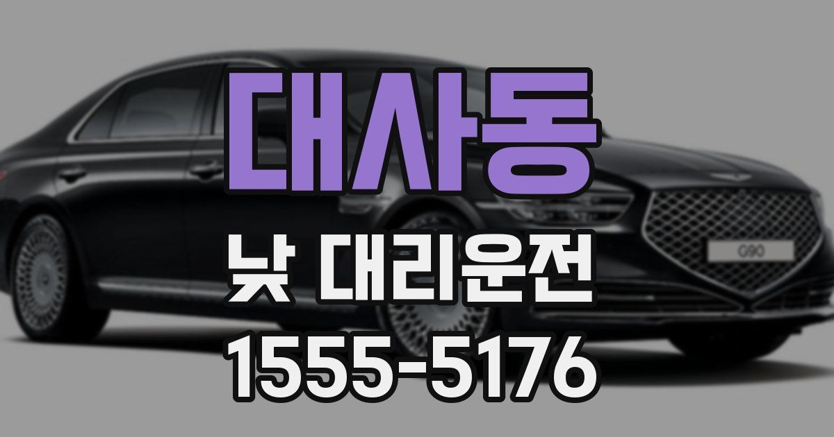 대사동 낮 대리운전