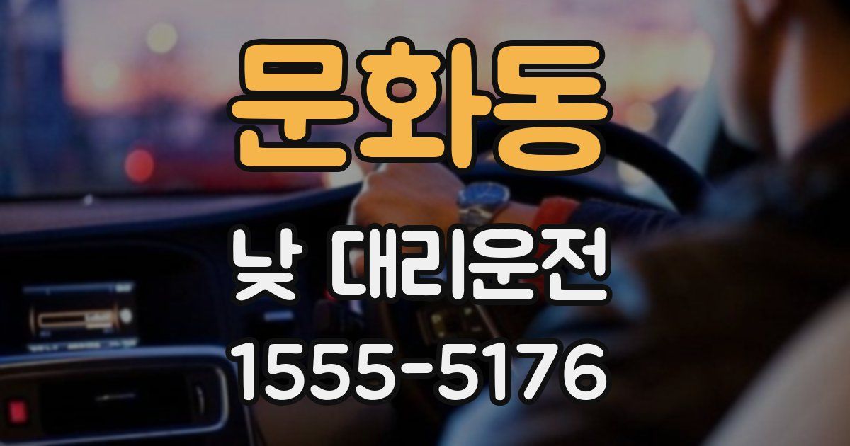 문화동 낮 대리운전