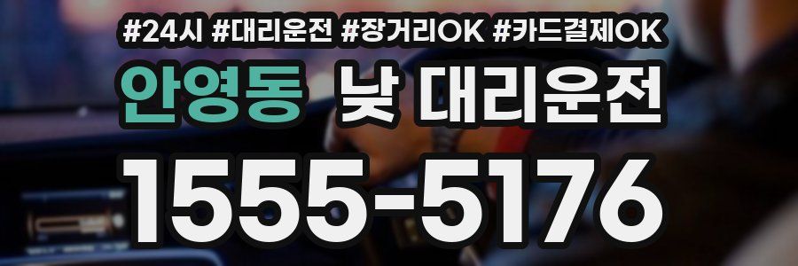 안영동 낮 대리운전