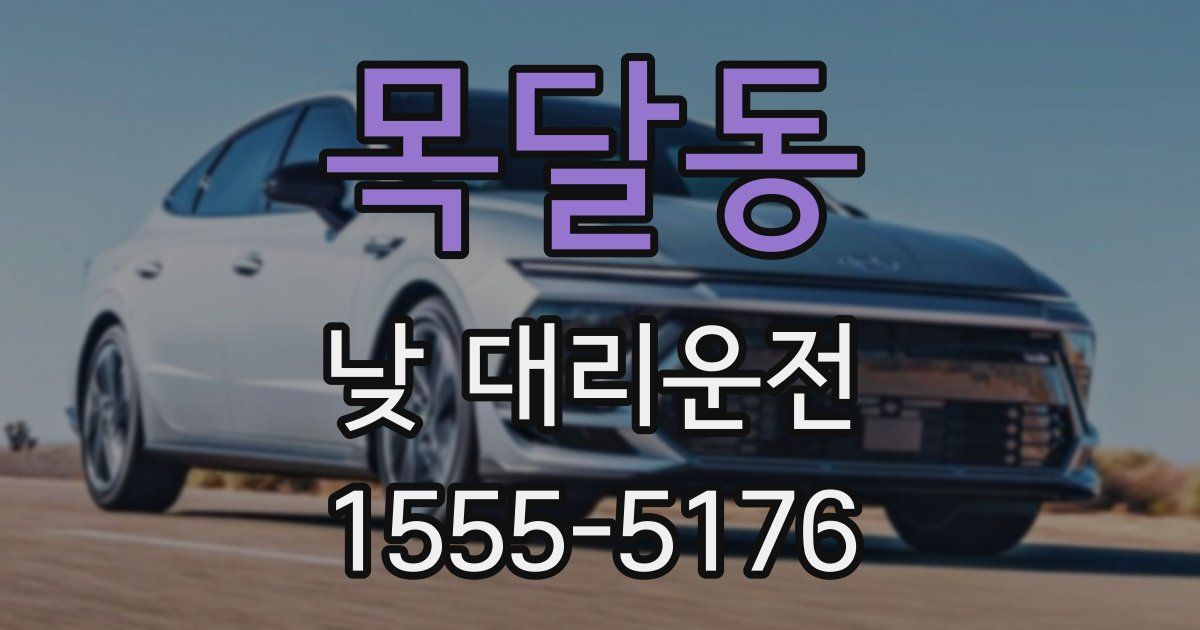 목달동 낮 대리운전