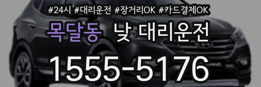 목달동 낮 대리운전