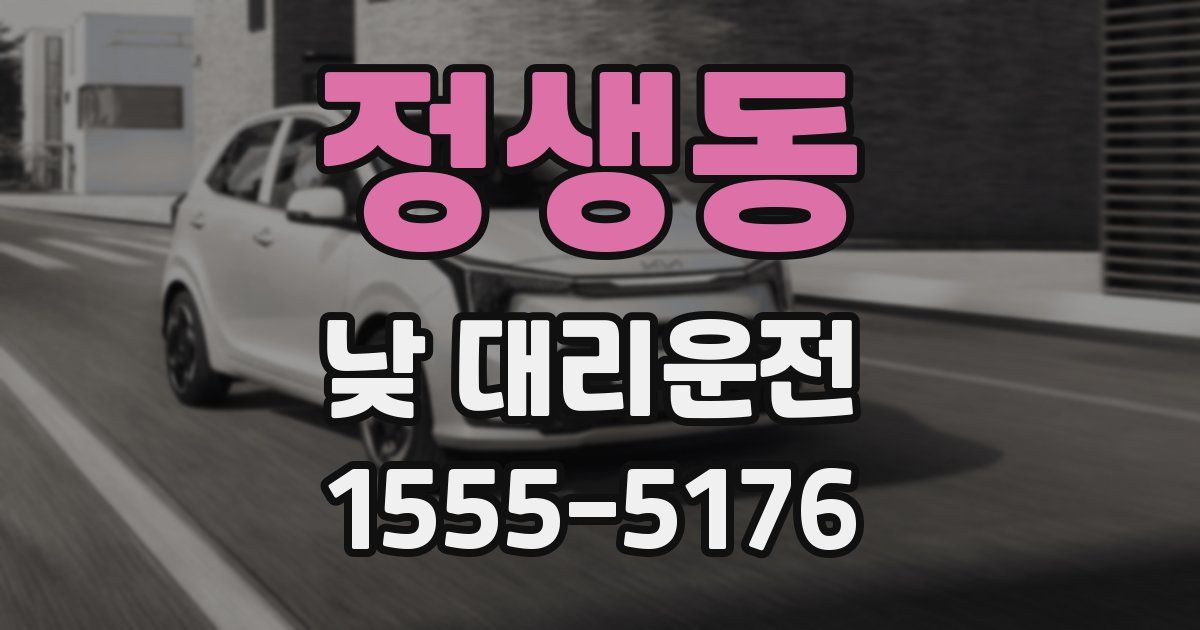 정생동 낮 대리운전