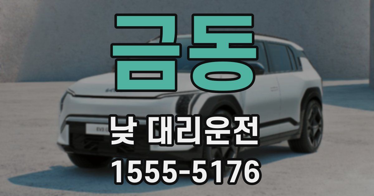 금동 낮 대리운전