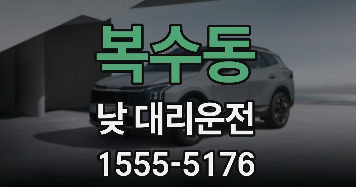 복수동 낮 대리운전