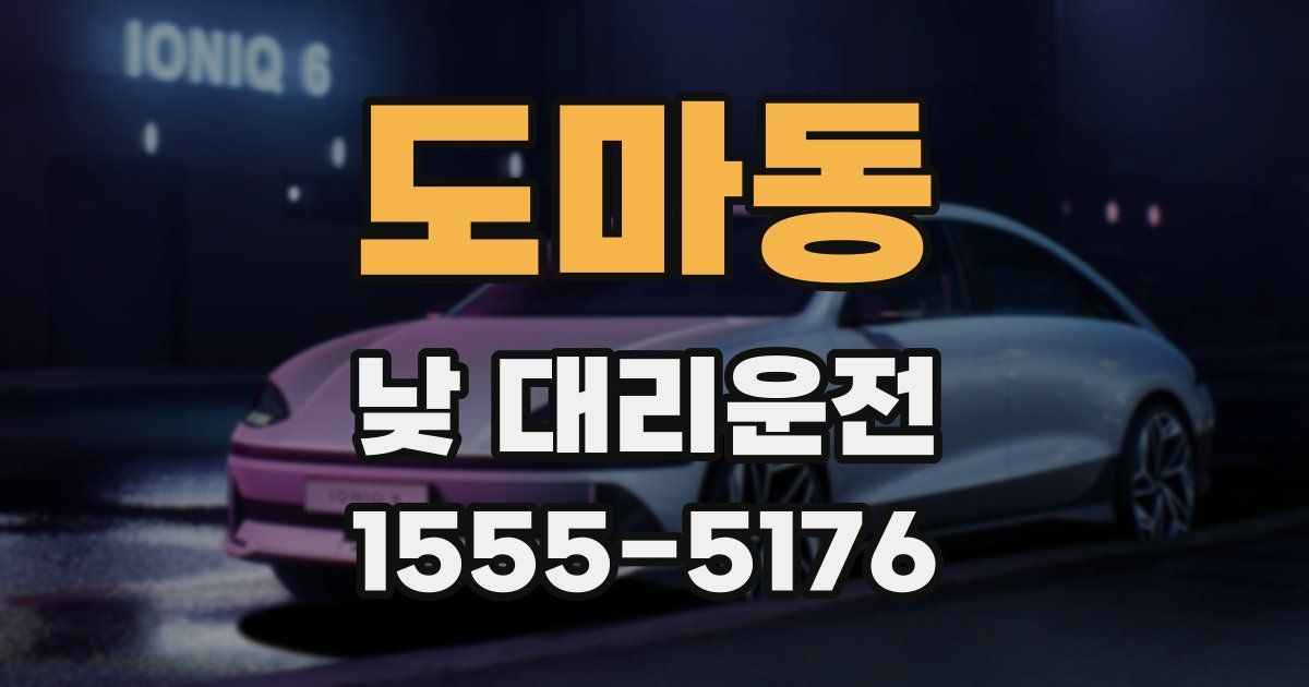 도마동 낮 대리운전