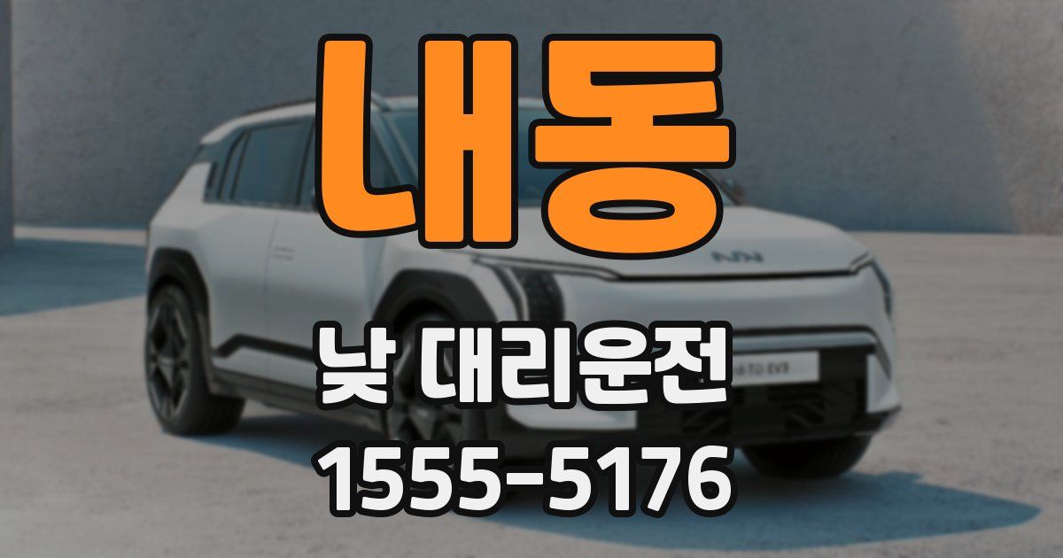 내동 낮 대리운전