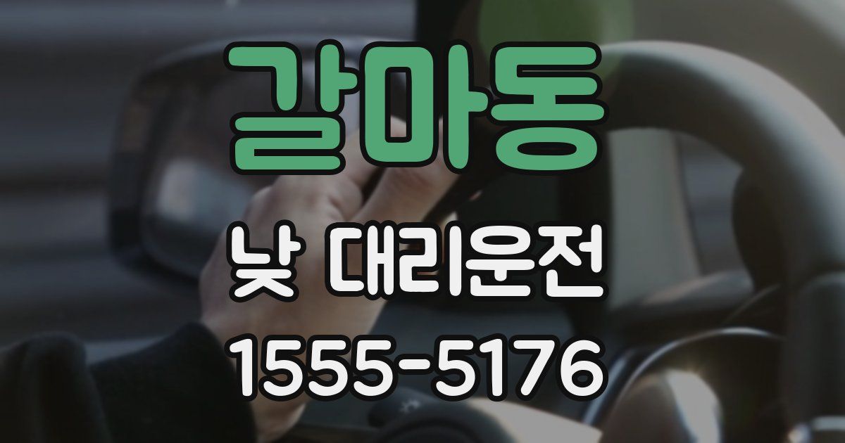 갈마동 낮 대리운전